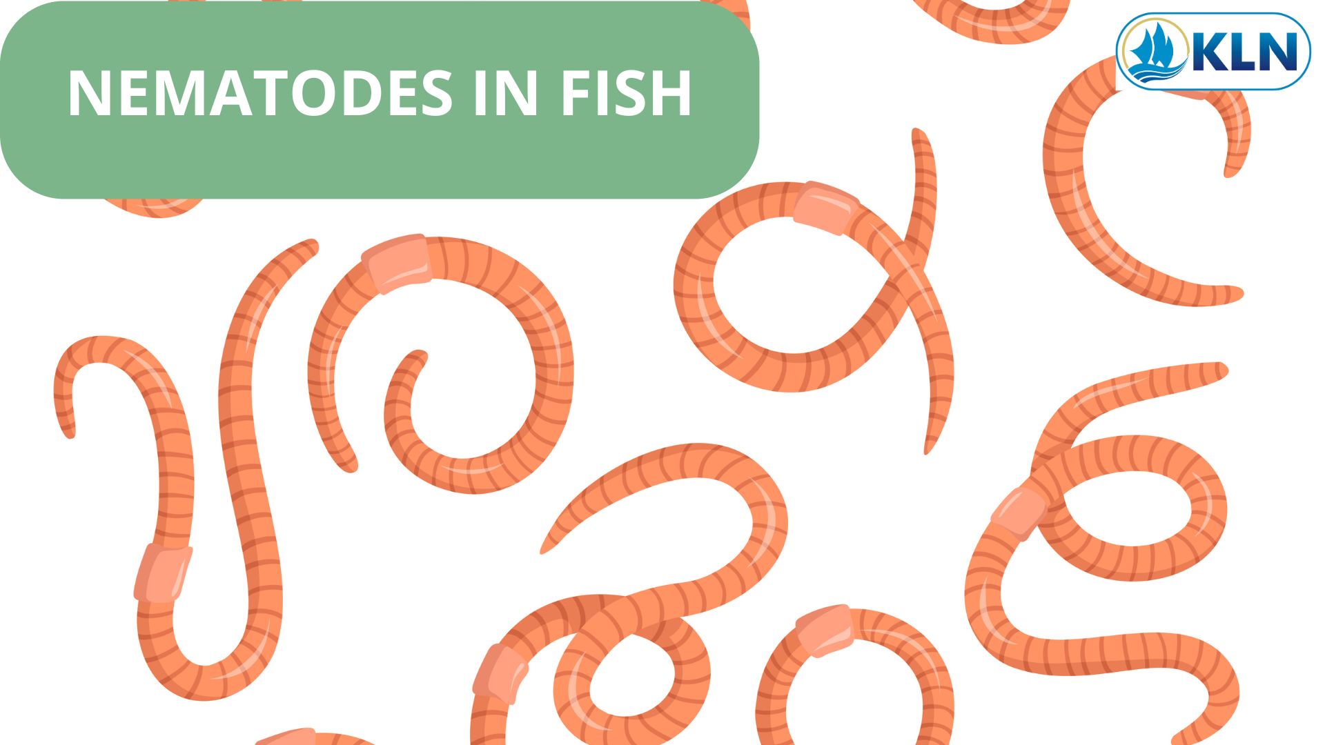 NEMATODES IN FISH